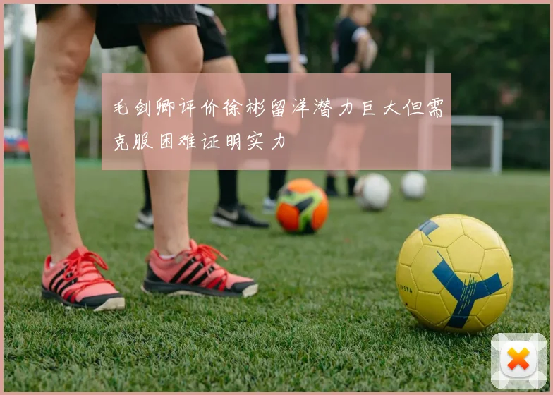 毛剑卿评价徐彬留洋潜力巨大但需克服困难证明实力