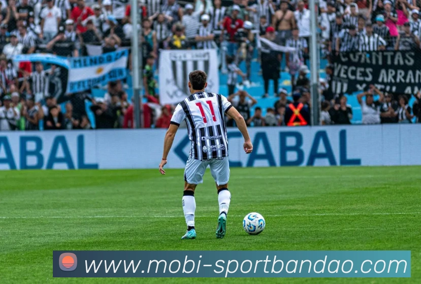 半岛体育APP 体育赛事宣传图