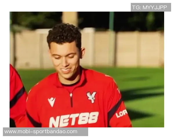 热刺前锋布伦南约翰逊以3350万镑转会水晶宫正式加盟