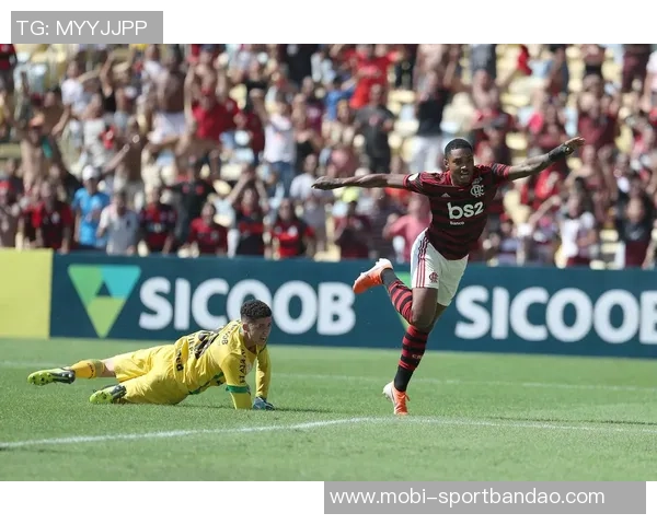 巴乙联赛落幕科里蒂巴夺冠携手沙佩科恩斯等四队晋级巴甲 巴乙联赛落幕科里蒂巴夺冠携手沙佩科恩斯等四队晋级巴甲
